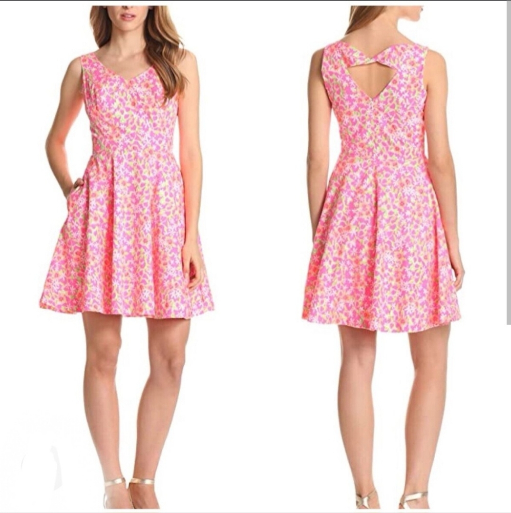 Lilly Pulitzer Freja Everything Nice Dress In Fiesta Pink Green White Floral